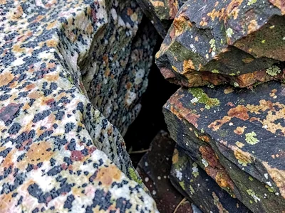Granite meeting darker rock at intrusion