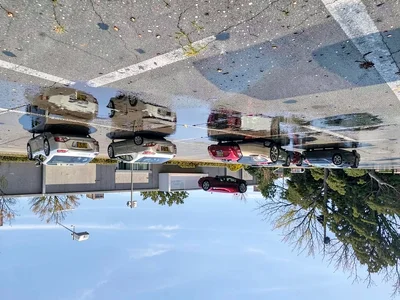 Cars reflected in parking lot puddles
