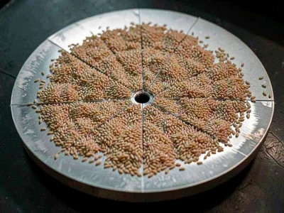 Rice grains collecting at nodal points on vibrating plate
