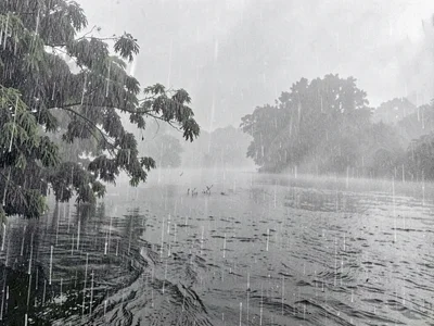Heavy rain erasing background