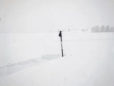 Single ski pole planted in white expanse