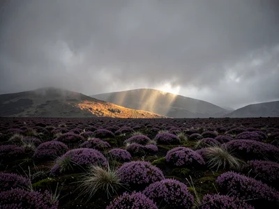 Golden Light Shaft on Distant Hillside