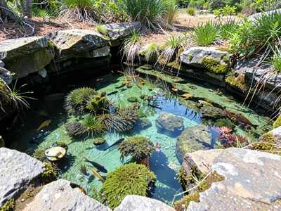 Low pool with most diversity