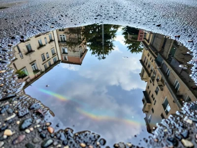 Oil-sheened puddle, rainbow interference film on water surface partially obscuri