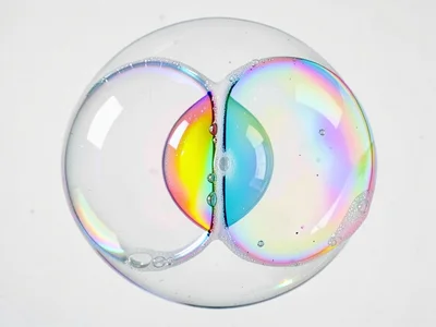 Double bubble showing shared wall