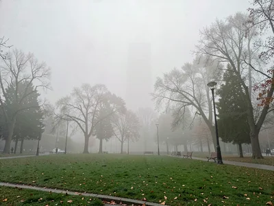Park in urban smog