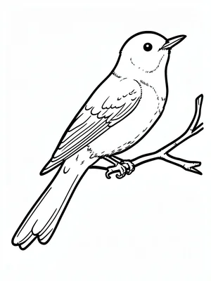 Bird on branch outline