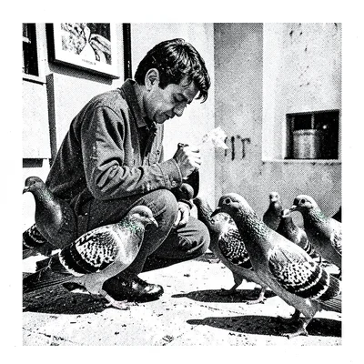 Risograph-style illustration, person feeding pigeons , spot color layer simulati