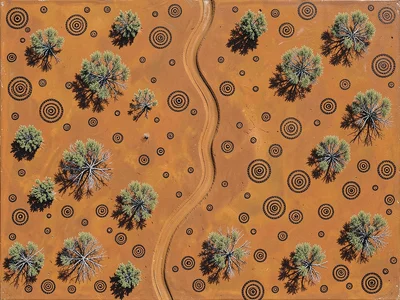 Saltbush shrubs scattered across ochre plain from above, each casting small roun
