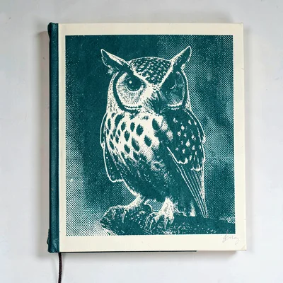 Screenprint window-decal motif of a halftone owl on a halftone book in deep teal