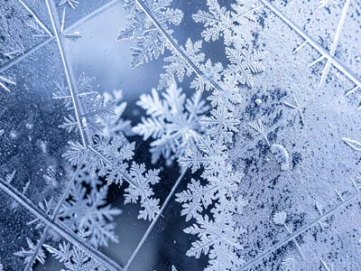Window frost showing contrast between fine and coarse crystal zones