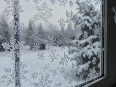 Thin frost showing outdoor scene muted