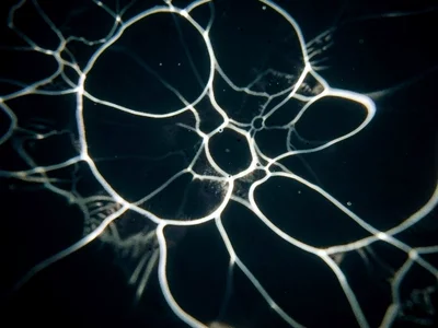 Subtle caustic in deep