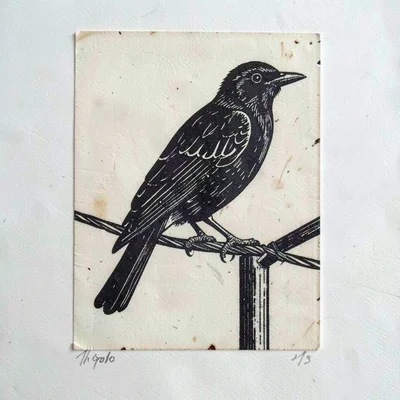 Crow perched on a wire — two-color reduction, bird as final dark cut on pale gro