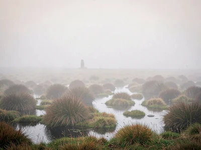 Tussock-and-puddle moor at first light, low fog hugging the ground, distant cair