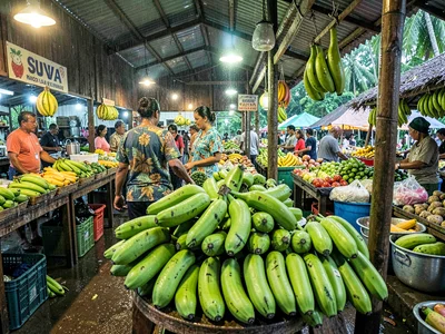 Humid tropical market light in Suva, Fiji, Bunches of green bananas and cooking 