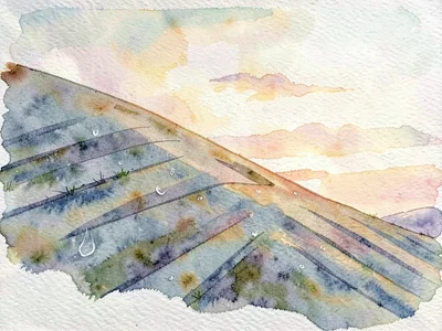 A blanketed slope shows wind-carved striations under post-rain mineral clarity a