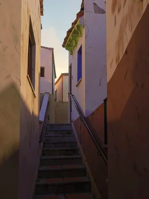 Dawn staircase still in cool violet shadow except for one warm top edge where th