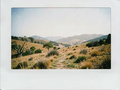 Landscape soft Polaroid