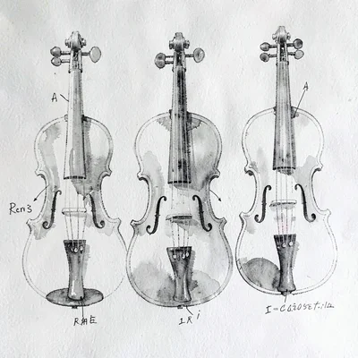 Pen-ink anatomy diagram of violin parts arranged on a single sheet, abstract lab