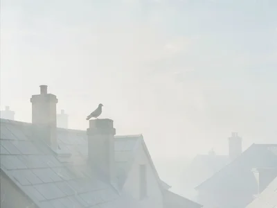Rooftop chimneys staggered into pale sky, a pigeon perched on the nearest, all f