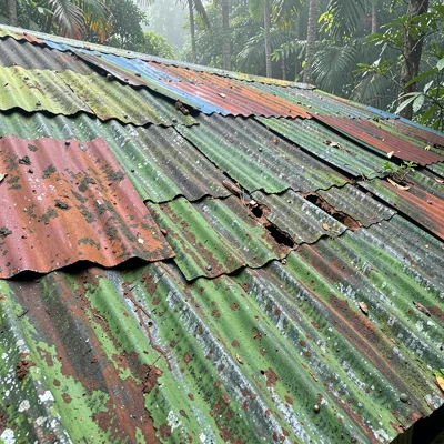 Tropical weathered surfaces, humid atmosphere, Corrugated metal roof patched wit