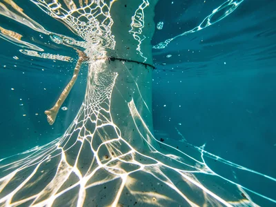 Pool diving through caustic column