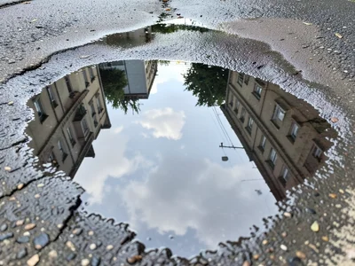Puddle drying edge, water retreating leaving wet-dark-to-dry-light gradient on c