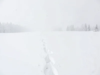 Own snowshoe tracks disappearing into white