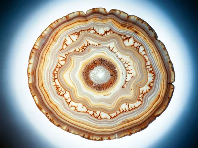 Crazy lace agate, chaotic swirling bands of cream and rust and amber, no two lin