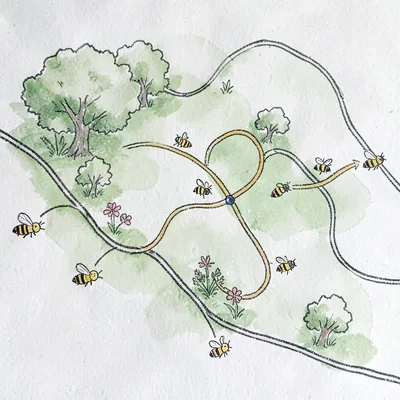 Hand-drawn map of pollinator pathways with tiny bee-symbol callouts