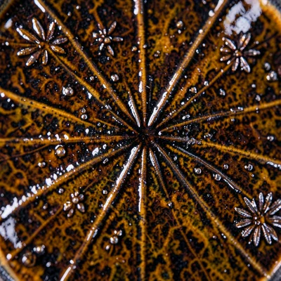 Tenmoku iron crystal starbursts at extreme magnification, metallic iron oxide cr