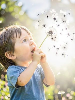Child blowing dandelion seeds, each seed a dark star against light explosion