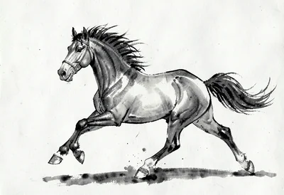 Galloping horse sumi-e