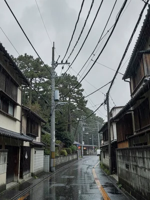 Utility pole forest in backstreet
