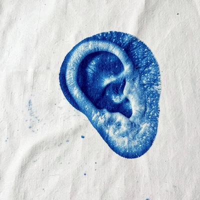 An ear pressed directly onto cyanotype paper — contour and texture in Prussian b
