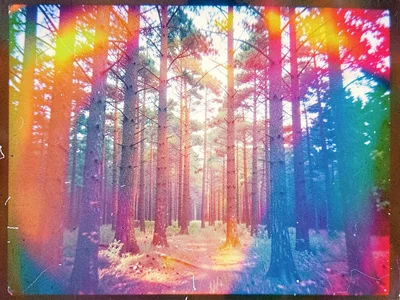 Forest with color crossover effect
