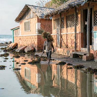 Coastal architecture photograph with Swahili influences, Seaweed farmer walking 