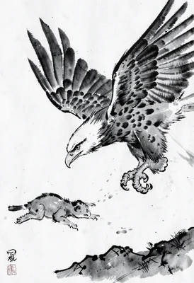 Diving eagle sumi-e