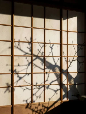 Closed paper shoji screen, shadow of plum branch outside, barrier as poetry