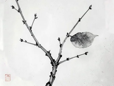 Bare branch with single remaining leaf