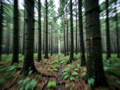 Forest vertical blur creating stripe pattern