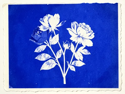 Sun-printed botanical of peony and rose arrangement, Prussian blue on cream