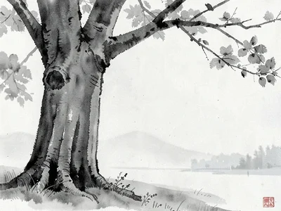 Morning mist allowing only nearest tree trunk
