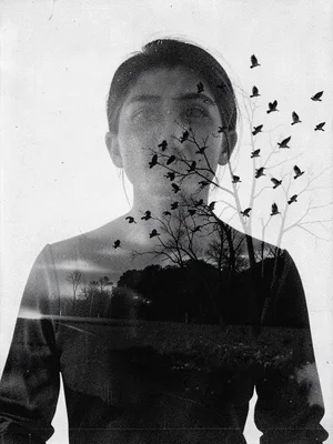 Birds through figure silhouette
