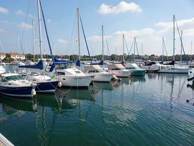 Harbor boats organized