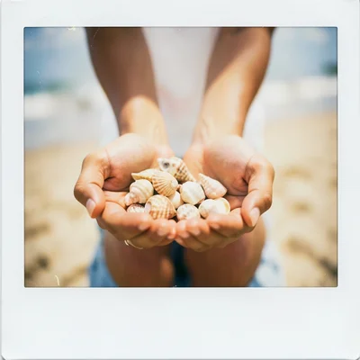 Two hands holding a seashell collection, palms open toward camera, beach bokeh b