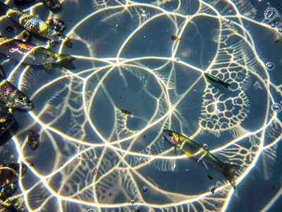Caustic catching fish scales