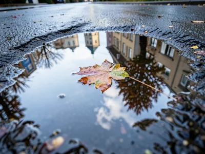 Frozen puddle surface with trapped leaf, autumn color preserved under clear ice 