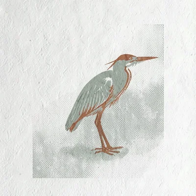 Two-color screenprint motif of a small heron silhouette in sage and rust over ha